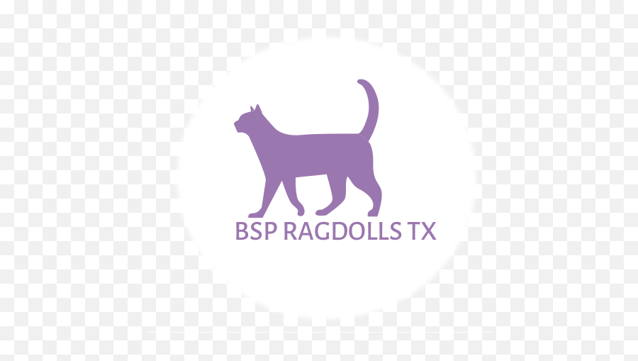 Bsp Ragdolls Tx - Complexity Killed The Cat Png,Ragdoll Logos