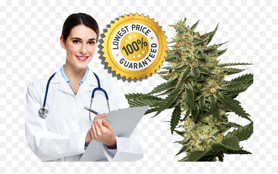 Marijuana Express Md - Medical Marijuana Prescription Cards Mbbs Doctor Png,Marijuana Joint Png