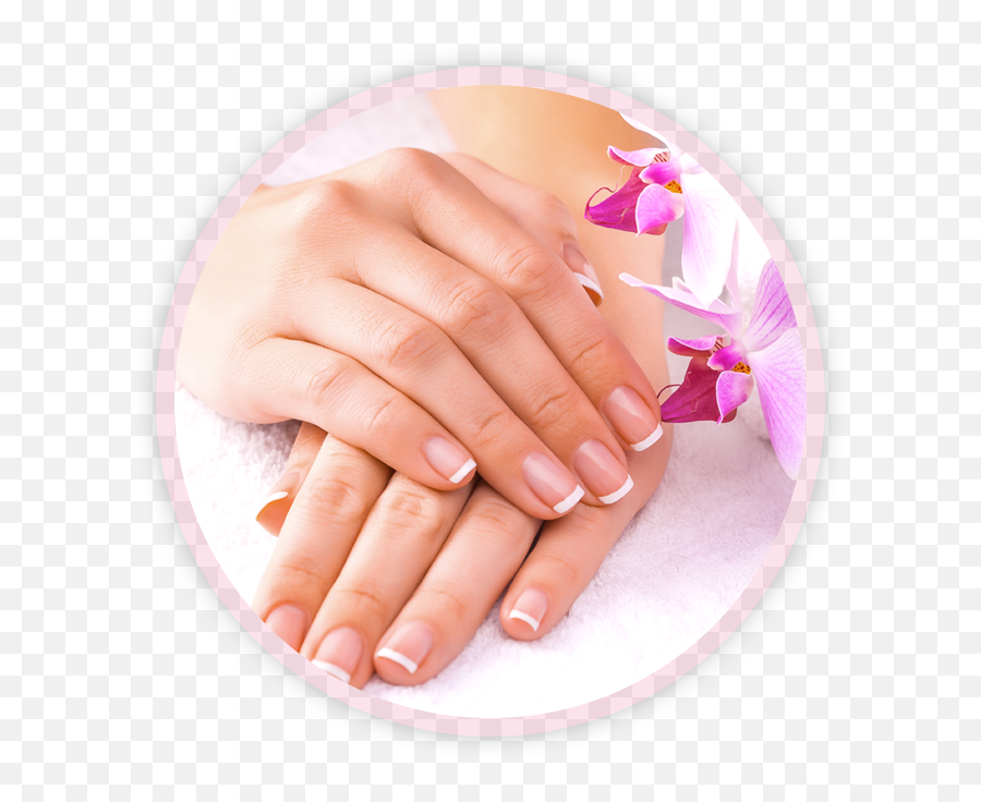 Home The Nail Lounge Spa Pedicure And - Nail Hand Spa Transparent Background Png,Pedicure Png