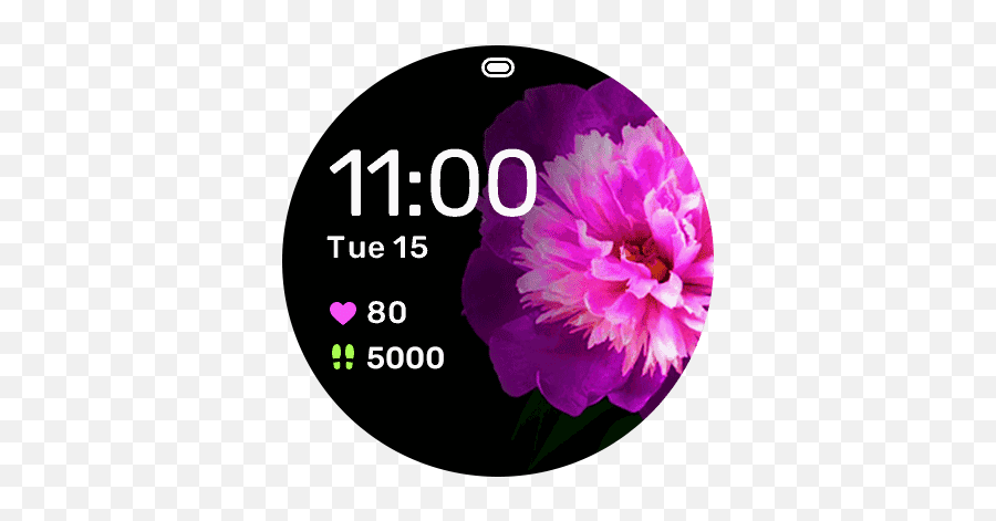 Connect Iq Store Free Watch Faces And Apps Garmin - Optical Disc Png,App Store Icon Pink