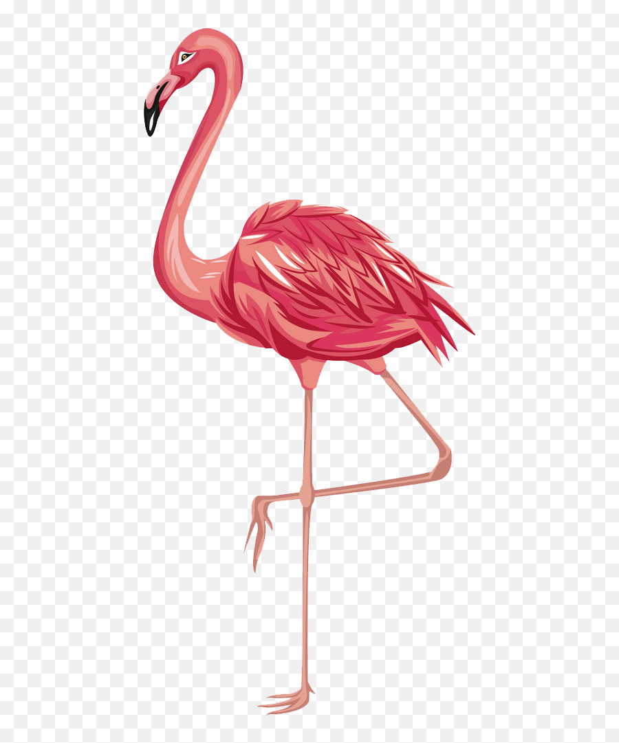 Flamingo Clipart Transparent 1 - Clipart World Flamingo Clipart Png,Flamingo Icon