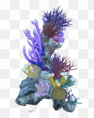 Download Pin Coral Reef Clipart Png - Transparent Background