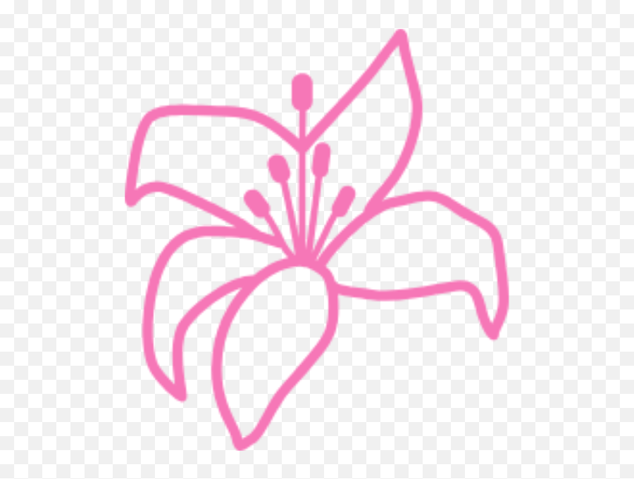 Pinterest Facebook Twitter Instagram Youtube - Lily Flower Pink Lily Flower Icon Png,Facebook And Instagram Icon Png