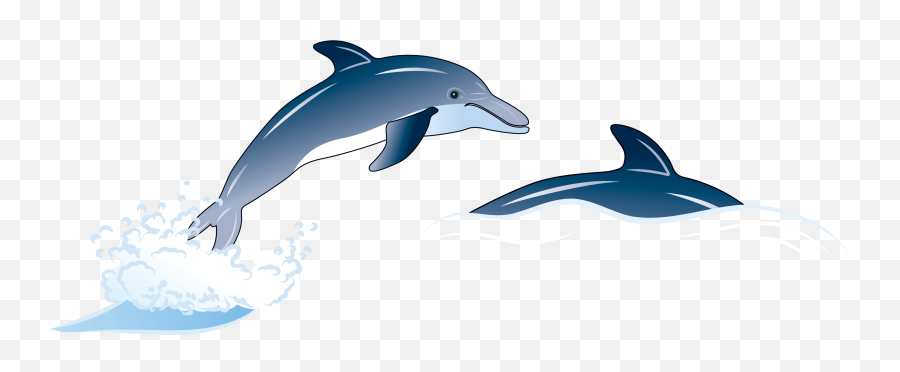 Collection Of Porpoise Clipart Free Download Best - Dolphin Illustration Png,Dolphin Clipart Png