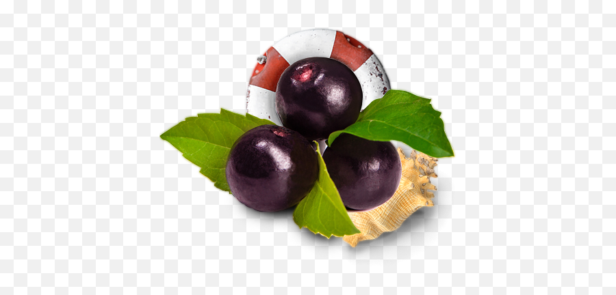 Download Açai Nole Bowls - Acai Berries Full Size Png Acai Berry,Berries Png