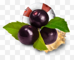 Download Açai Nole Bowls - Acai Berries Full Size Png Acai Berry,Berries Png