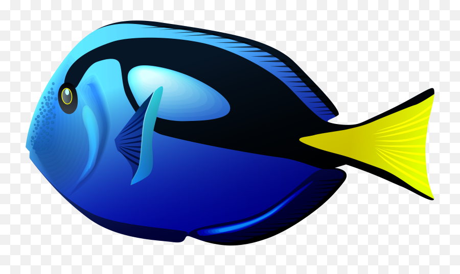 Blue Tang Fish Png Clipart - Cartoon Blue Tang Png,Fish Clipart Png