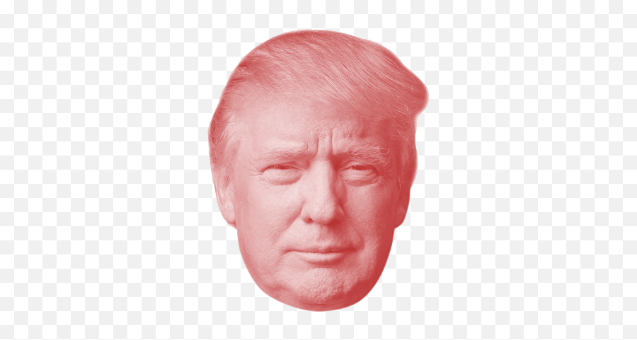 Donald Trump Png Transparent Images - Transparent Trump Head Png,Donald Trump Transparent