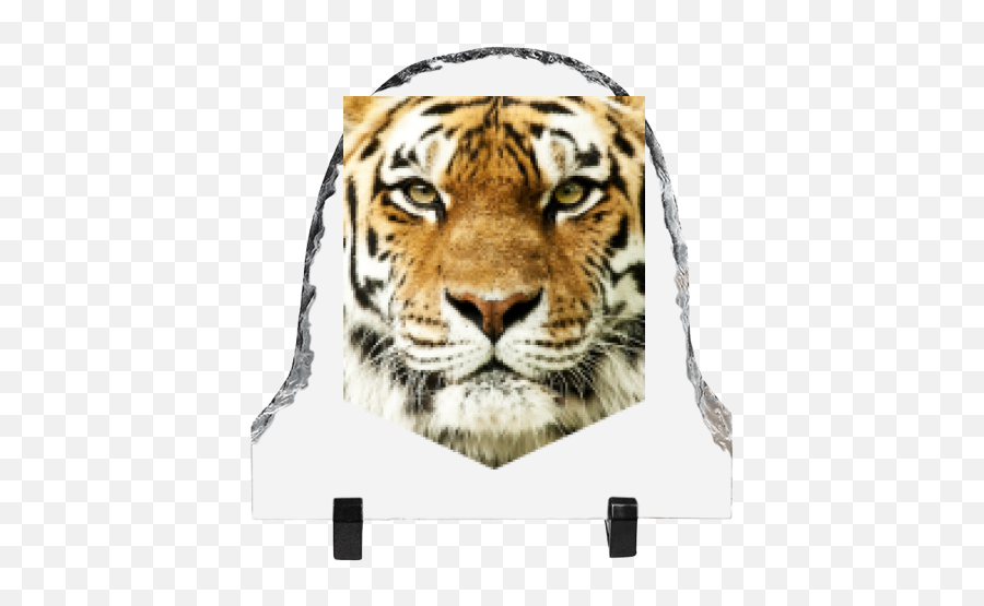 Vaulted Photo Stone With Printing Tiger Head - Face Wallpaper Tiger Png,Tiger Head Png