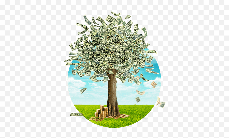 Дерево с деньгами. Дерево с золотыми монетами. Денежное дерево на прозрачном фоне. Деньги дерево зеленый.