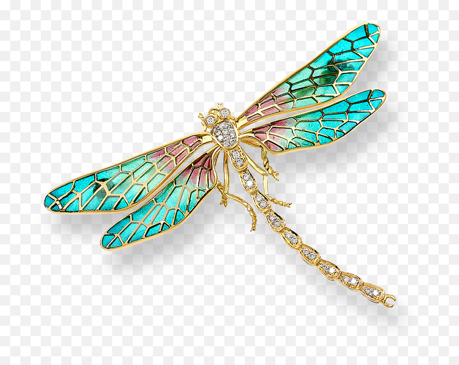 Transparent Background Dragonfly Png - Transparent Background Dragonfly Png,Dragonfly Transparent Background