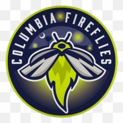 Milb U2014 Instadium Png Fireflies