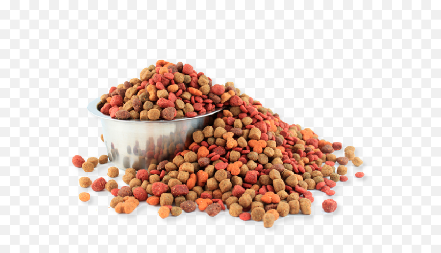 Dog Food Png - Food Pet,Comida Png