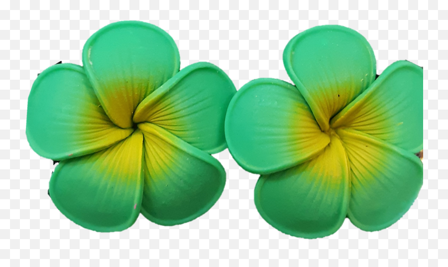 Jb - Small Green Plumeria Earrings Frangipani Png,Plumeria Flower Png