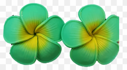 Jb - Small Green Plumeria Earrings Frangipani Png,Plumeria Flower Png