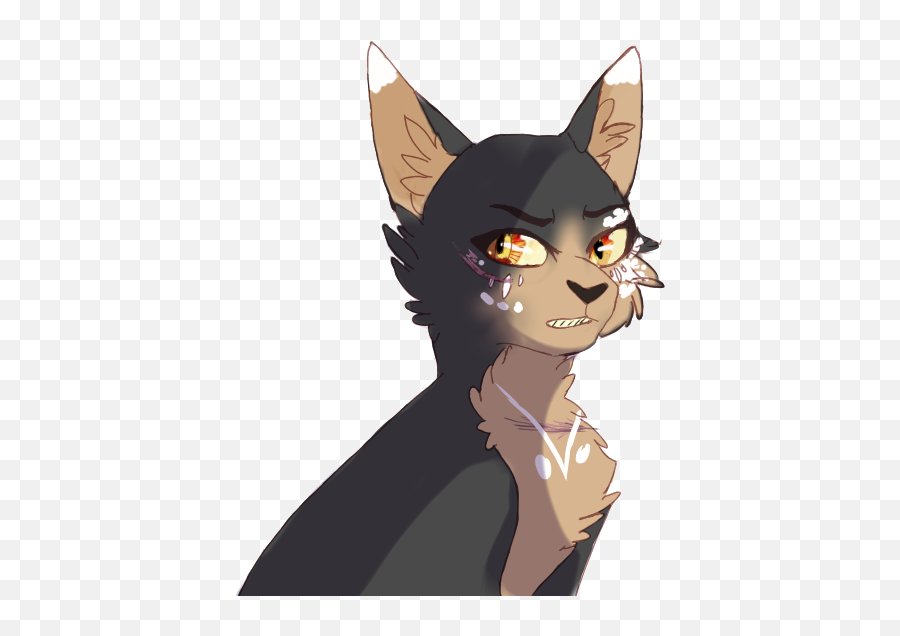 Angry Golden Cat Girl - Wiki Full Size Png Download Seekpng Cartoon,Angry Cat Png