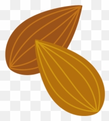 Clipart - Almond Clipart Png,Almond Transparent