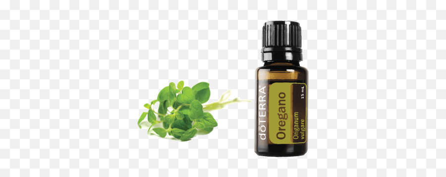 Oregano - Doterra Peppermint Png,Oregano Png