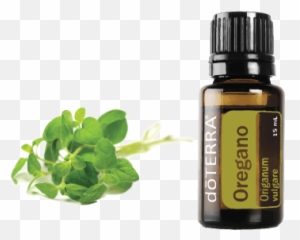Oregano - Doterra Peppermint Png,Oregano Png