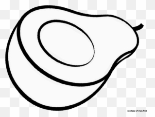 Avocado Clipart Coloring - Avocado Png Download Full Avocado Clipart Black And White,Avocado Png