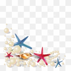 Starfish Clipart Sandy - Beach Starfish Png,Starfish Clipart Transparent Background