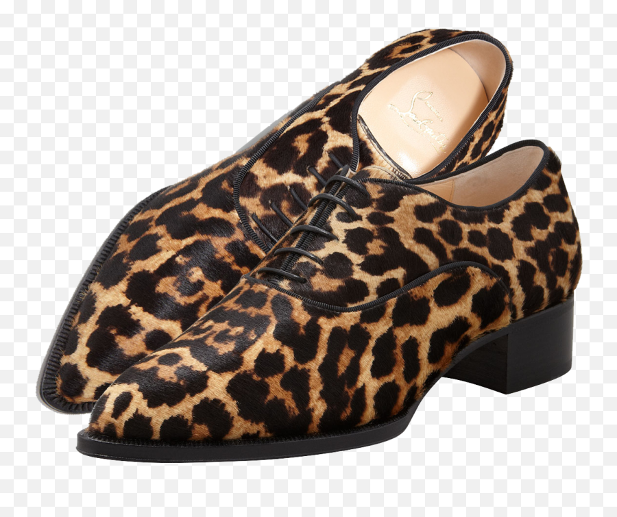 Christian Louboutin Zazou Pointed - Toe Leopardprint Calf Pointy Toe Png,Christian Louboutins Logo