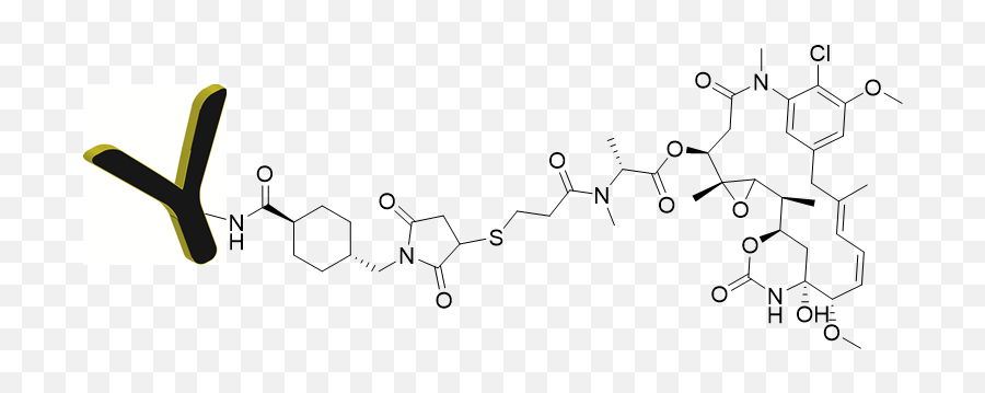 Antibody Mertansine Dm1 Conjugation Kit - Dot Png,Antibody Png