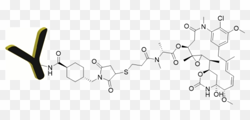 Antibody Mertansine Dm1 Conjugation Kit - Dot Png,Antibody Png
