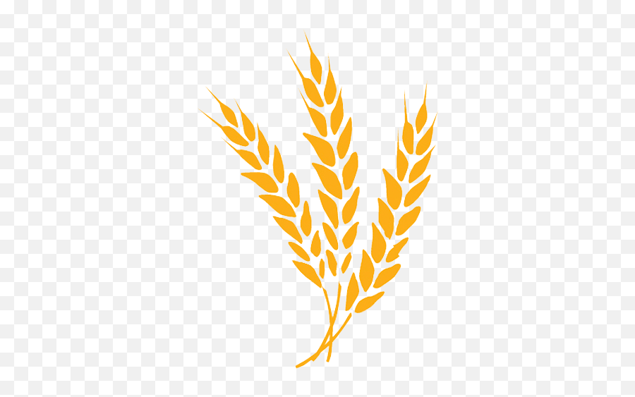 Cropped - Jwsiteiconpng U2013 Alamance Orange Prison Ministry Barley Icon Png,Wheat Icon Png