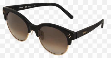 Chloe Ce704s - Boxwood Shaded Sunglasses In Blackgrey Monochrome Png,Boxwood Png