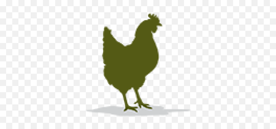 Cropped - Rooster Png,Chicken Icon Png