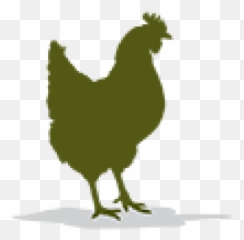 Cropped - Rooster Png,Chicken Icon Png