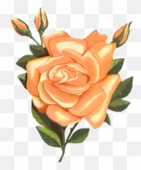 Library Of Vintage Flower Banner - Orange Clip Art png