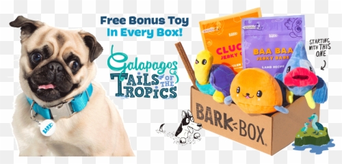 Barkbox - Martingale png