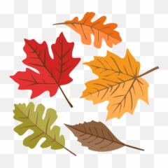 Autumn Leaves Svg Cuts Scrapbook File Cute Clipart Files - png