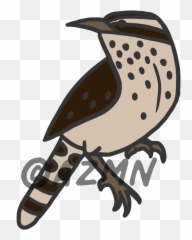 Blog - Hermit Thrush png