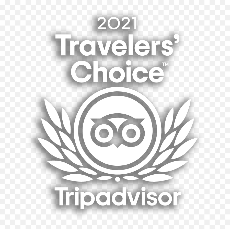 Sturgeon Slayers Guided Fishing - Tripadvisor Travellers Choice 2020 Logo Png,Sturgeon Icon