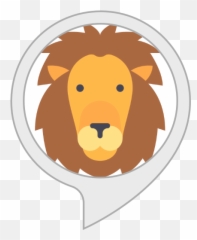 Amazon - L Alphabet Flash Cards png