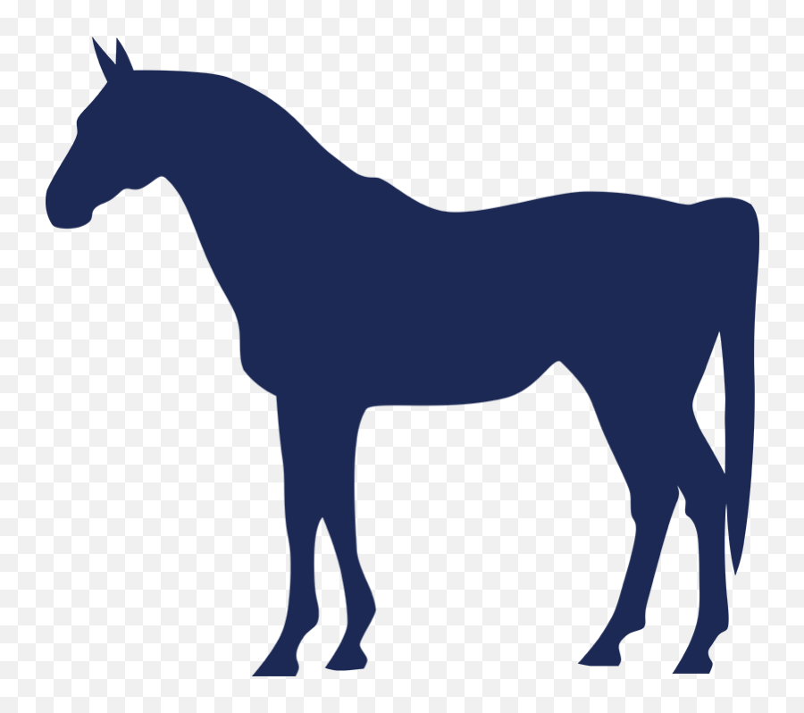 User Files - Horse Png,Mares Icon Hd ??????