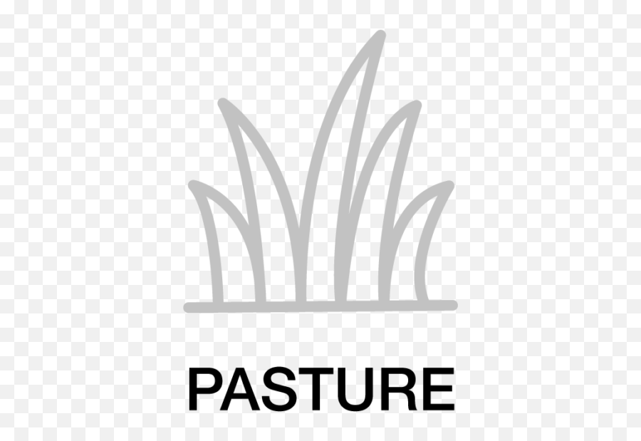 Beef Products - Hipro Feeds Shop Beef Products Now Pasture Icon Png,Nurture Icon
