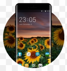 Theme For Nokia Asha 308 Hd Apk 2050 - Download latest Desktop Flower Wallpaper For Pc png