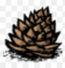 Jungle Tree Seed Donu0027t Starve Game Wiki Fandom - Illustration png