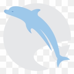 Professional Social Accounts - Razor Edge Media Ltd Common Bottlenose Dolphin png