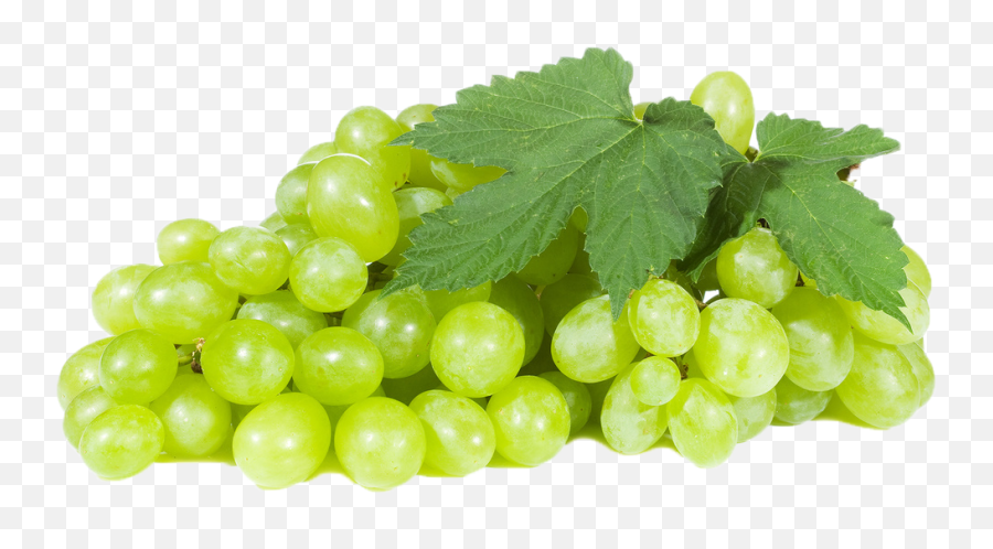 Black Grapes Png Image File