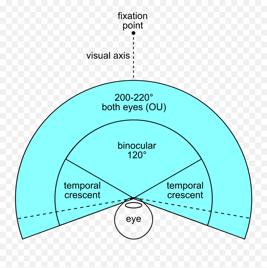 Fov Both Eyes - Binocular Field Of View Humans Full Size Human Binocular Field Of View Png,Human Eyes Png