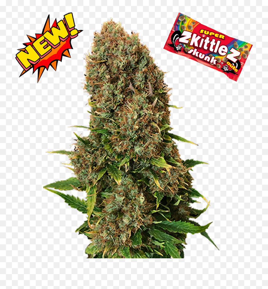 Super Zkittlez Skunk - Crop Png,Skunk Png