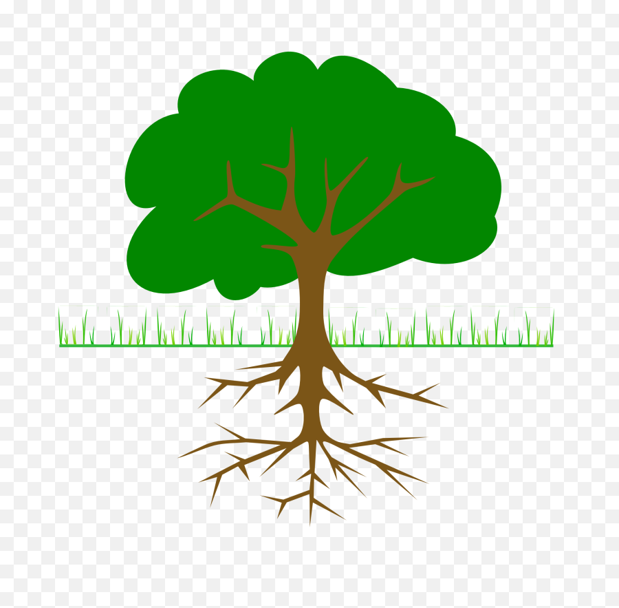 Planting Fruit Trees - Diagram Of A Tree Png,Fruit Tree Png