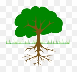 Planting Fruit Trees - Diagram Of A Tree Png,Fruit Tree Png