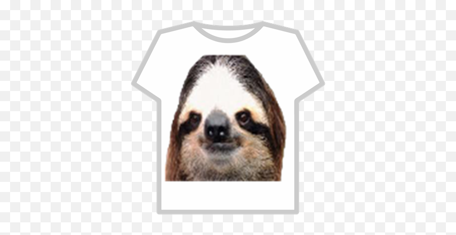 Transparent Sloth Tshirt - Roblox Camisa De Musculos Roblox Png
