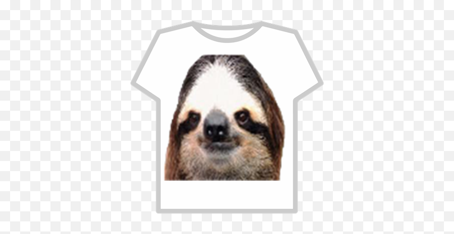 Transparent Sloth Tshirt - Roblox Camisa De Musculos Roblox Png,Sloth  Transparent - free transparent png images 